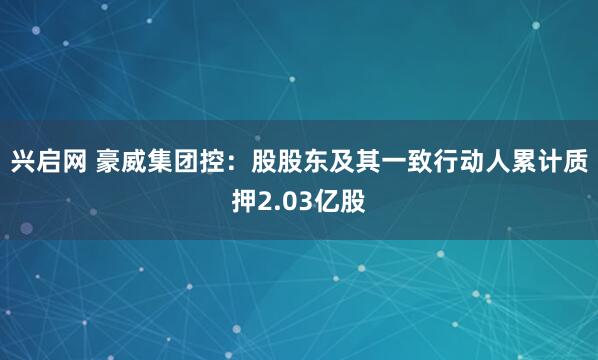 兴启网 豪威集团控：股股东及其一致行动人累计质押2.03亿股