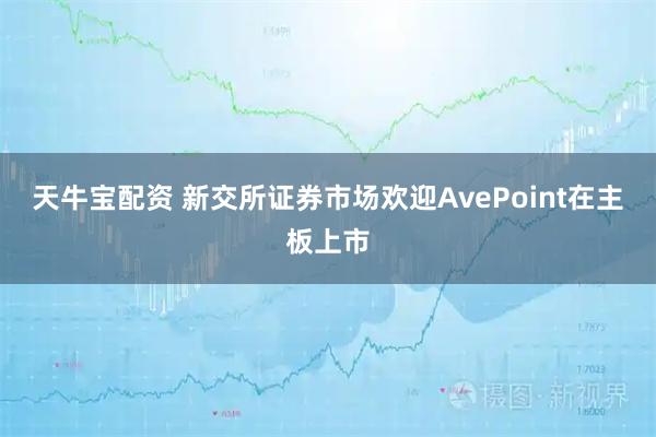 天牛宝配资 新交所证券市场欢迎AvePoint在主板上市