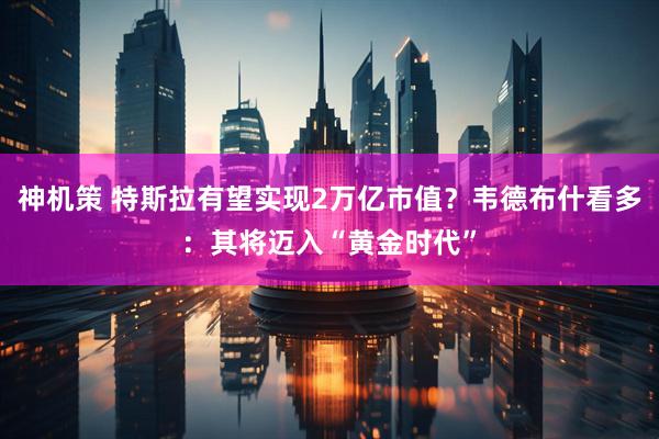 神机策 特斯拉有望实现2万亿市值？韦德布什看多：其将迈入“黄金时代”