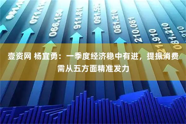 壹资网 杨宜勇：一季度经济稳中有进，提振消费需从五方面精准发力