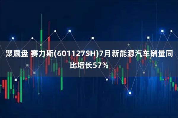 聚赢盘 赛力斯(601127SH)7月新能源汽车销量同比增长57%